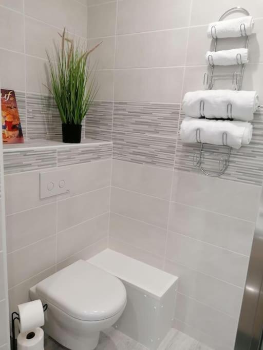 L'Harmonie 72M2 - 2 Chambres Parentales - Rue De La Halle - Hyper Centre Lourdes Esterno foto