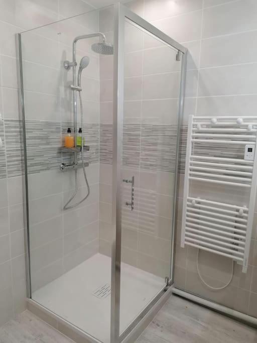 L'Harmonie 72M2 - 2 Chambres Parentales - Rue De La Halle - Hyper Centre Lourdes Esterno foto